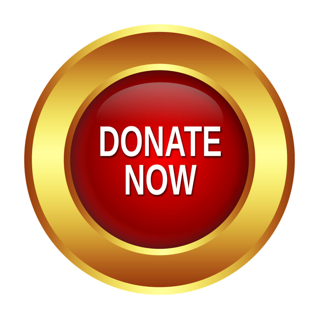 red and gold donate now button